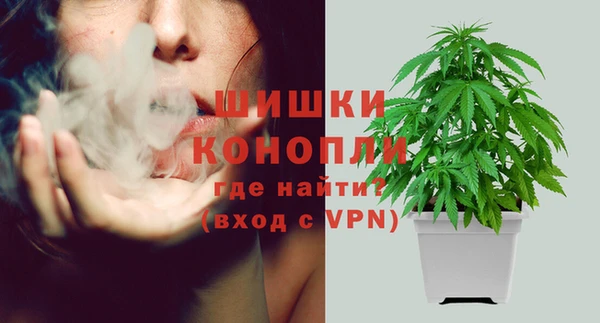 spice Белокуриха