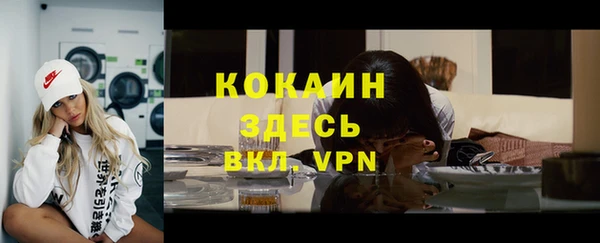 прущие грибы Белоозёрский