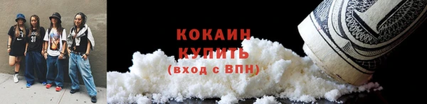 прущие грибы Белоозёрский