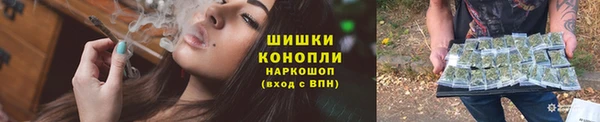 прущие грибы Белоозёрский