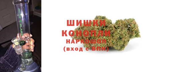 прущие грибы Белоозёрский