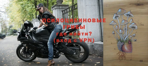 прущие грибы Белоозёрский