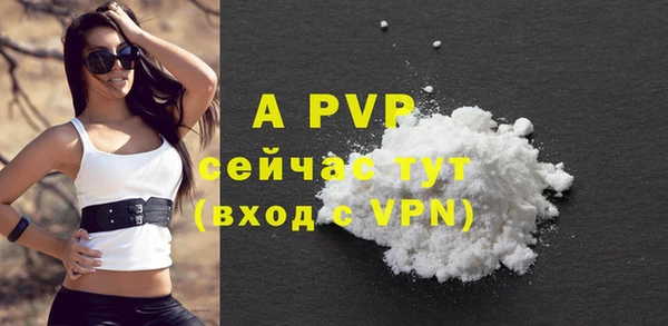 spice Белокуриха