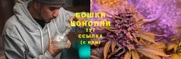 spice Белокуриха