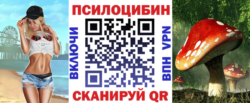 Купить закладки  Мещовск  Галлюциногенные грибы MAGIC MUSHROOMS 