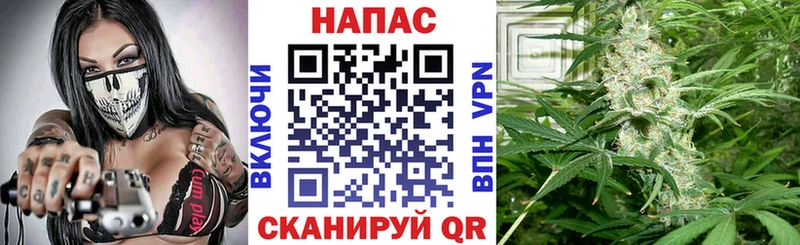 Купить закладки  Мещовск  Шишки марихуана семена 